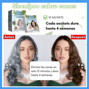 SHAMPOO DEXE CUBRE CANAS COLORES (PACK POR 10 SACHET)