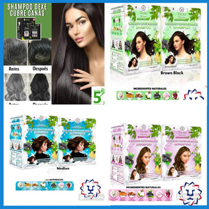 SHAMPOO DEXE CUBRE CANAS COLORES (PACK POR 10 SACHET)